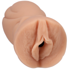 538c72eb90eedb4bf25e5f44e1081637.png